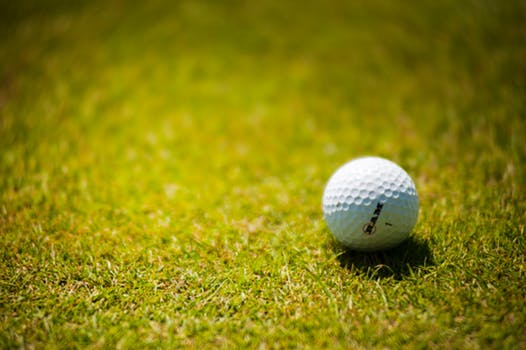 Golf Ball on grass
