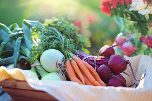 Vegetables from a garden